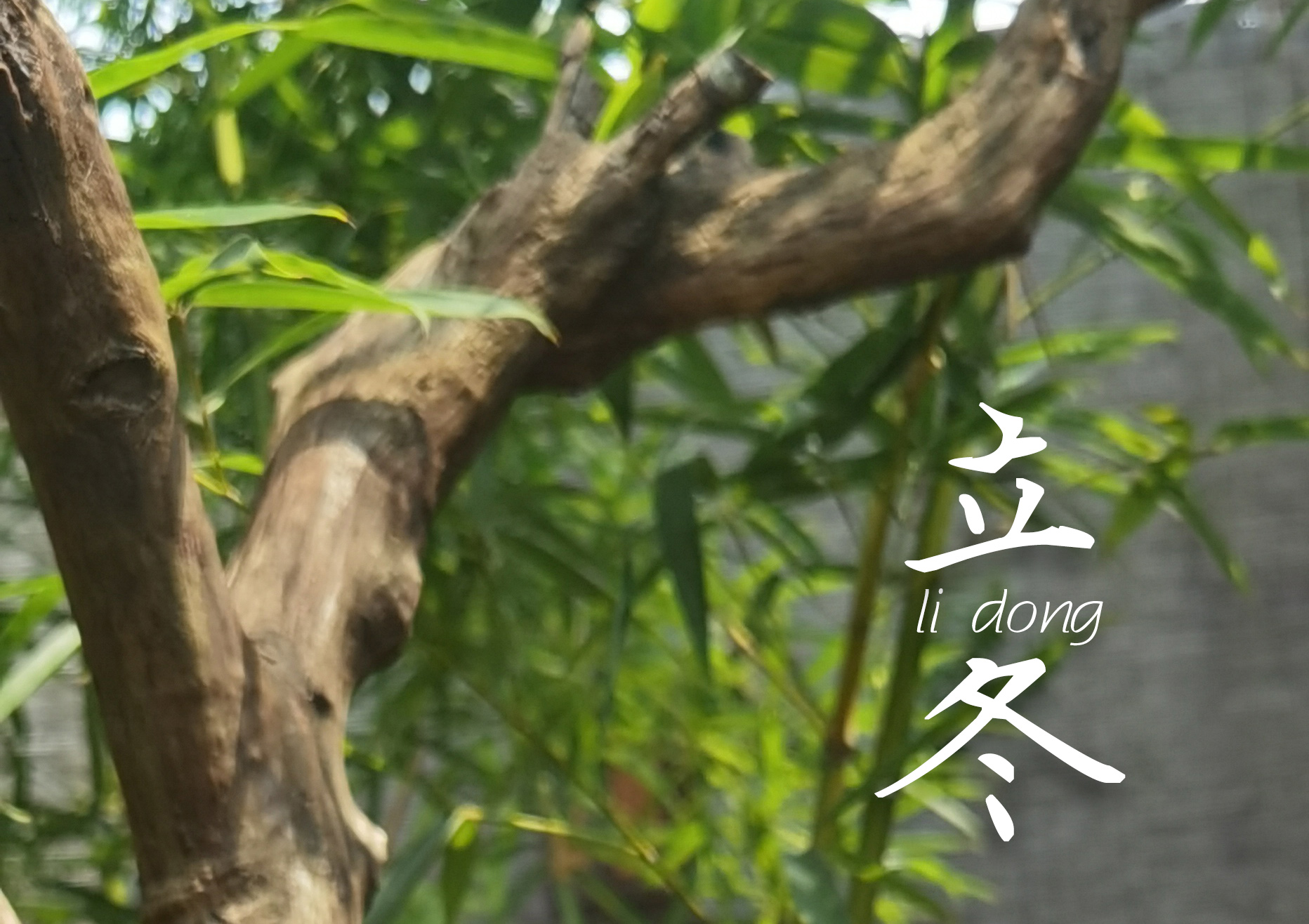 首圖.jpg